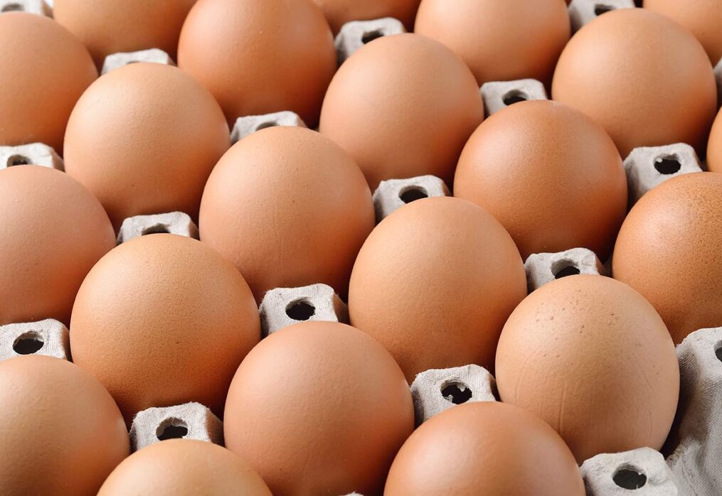 Claves para conservar los huevos frescos