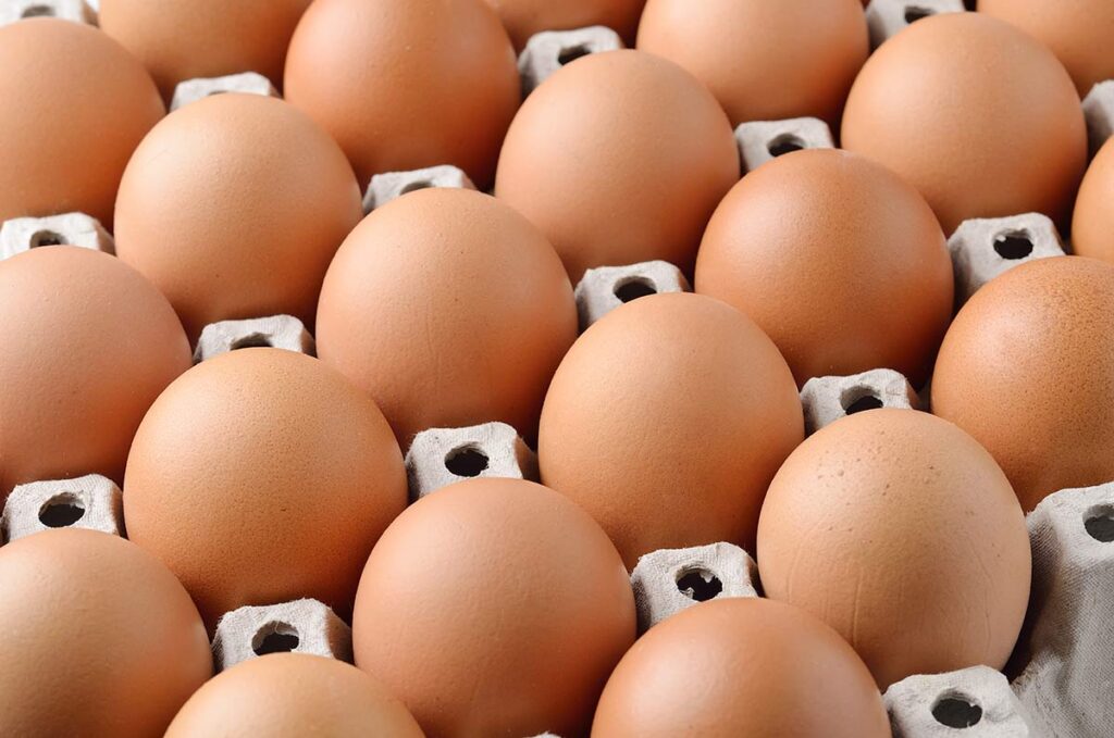 5 consejos para conservar los huevos frescos